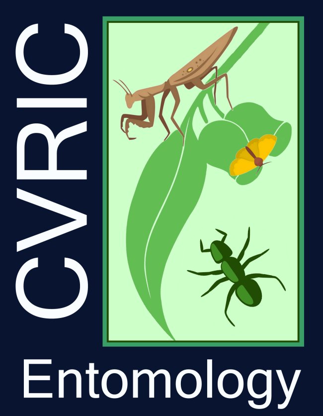 MEDIUMNewLogo1